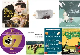 Divers livres et jouets sur le thème des chèvres