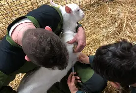 <em class="placeholder">Vaccination des chevrettes contre la fièvre Q au lycée agricole de Melle (Deux-Sèvres)</em>