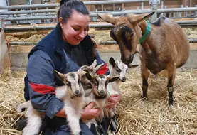 Eleveuse, chèvre et chevreaux