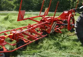 <em class="placeholder">Fanage de l'herbe</em>