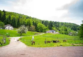 <em class="placeholder">Prairie, chèvrerie et forêt </em>
