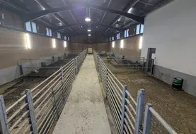 <em class="placeholder">Haras de bouc d'Altiani</em>