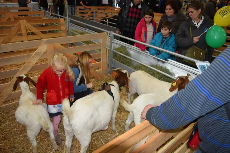 Exposition sur les 60 ans de La Chèvre