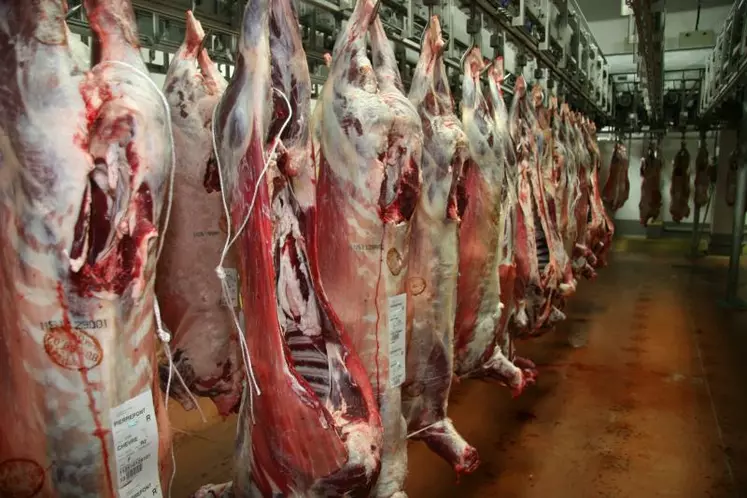 La France a exporté 2 600 tonnes équivalent carcasse de caprins vivants ou en viande en 2013.