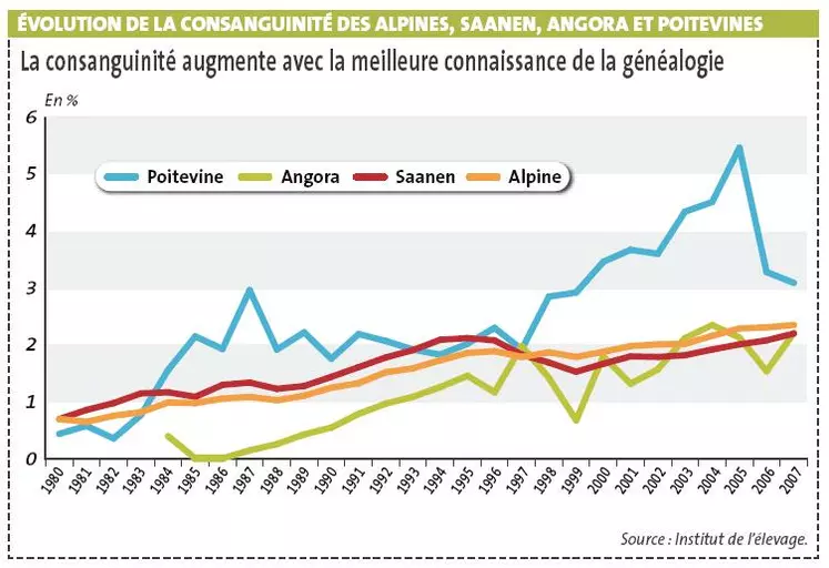 Évolution de la consanguinité