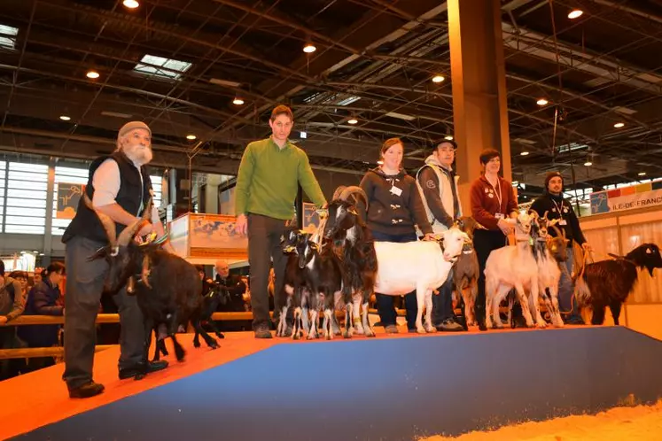 Le mercredi 25 février, les chèvres étaient à l'honneur sur le ring ovin/caprin avec le concours de jugement des animaux par les jeunes et, comme ici, la présentation des races françaises.