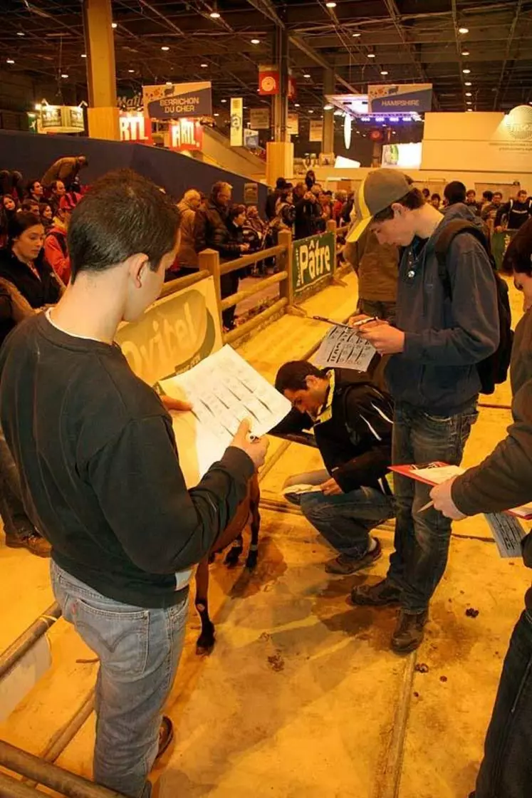 Les 25 participants du concours de jugement par les jeunes