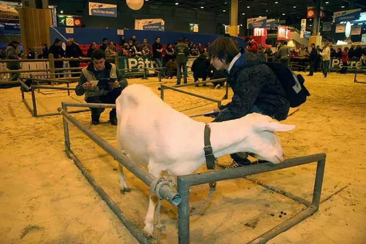 La Ferme des Ages en force...