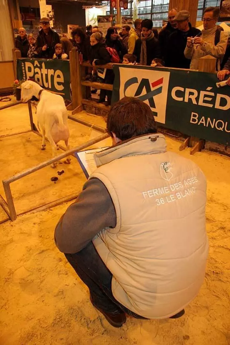 Dans les allées du salon, les ovins affichent leur ras-le-bol du loup...