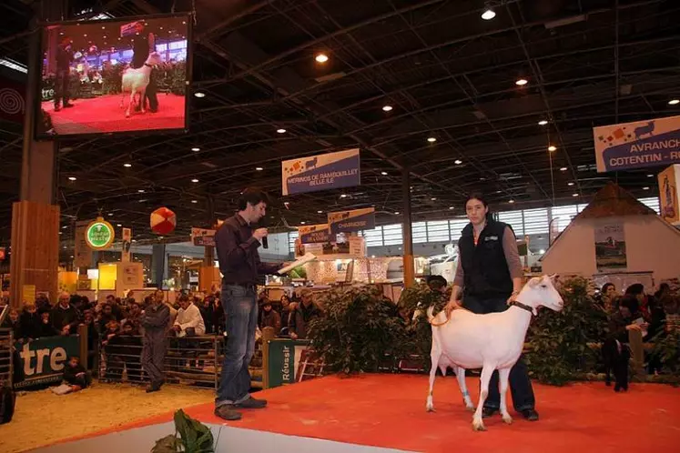 Présentation des races : Poitevine