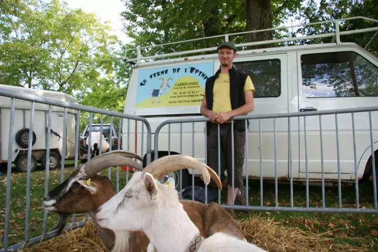 Les deux boucs sont actuellement en pension à Château-Garnier dans la Vienne.