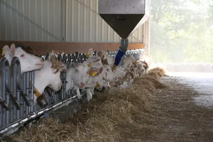 Le prix des matières premières doit inciter à vérifier sa ration et à la réajuster si besoin en fonction du lait réellement produit.