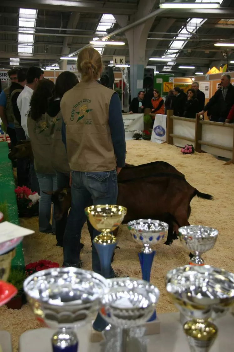 Le concours caprin a accueilli des animaux de grandes qualités génétiques.