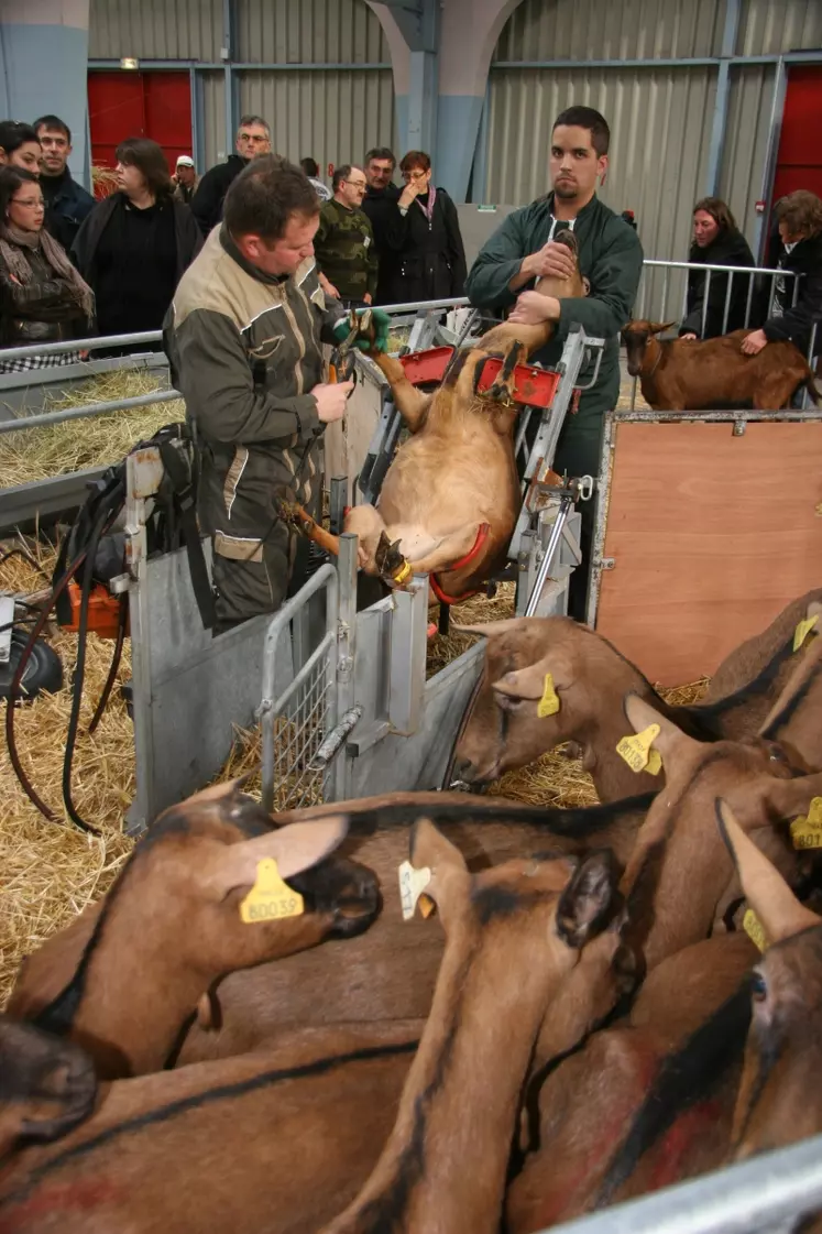 Concours de jugement par les jeunes