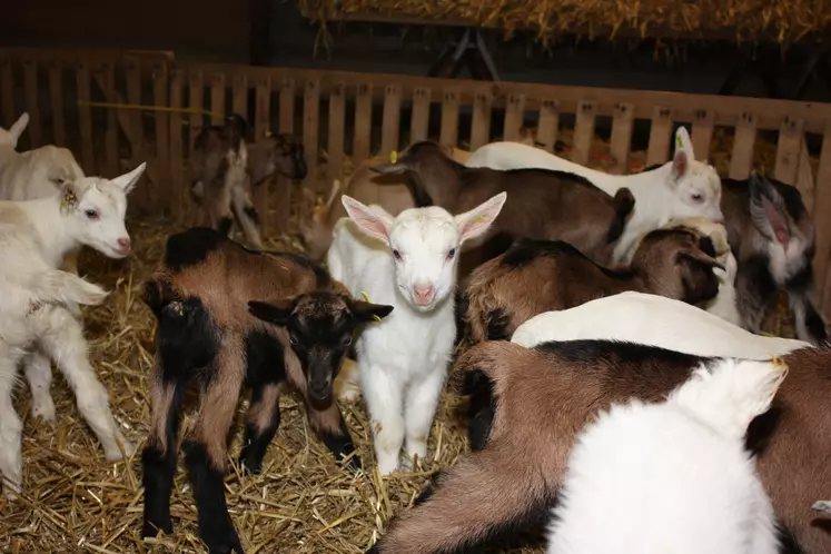 "Deux sûretés valent mieux qu’une", nous apprennent les chevreaux en demandant de montrer pattes blanches en plus du mot de passe...