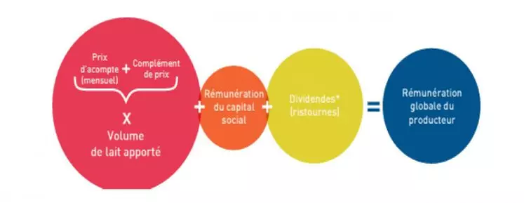 Rémunération de l'associé coopérateur