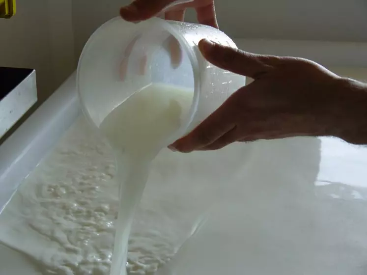 L’ensemencement du lait cru par l’ajout de lactosérum de la fabrication précédente est pratiqué par une grande majorité des fromagers fermiers.