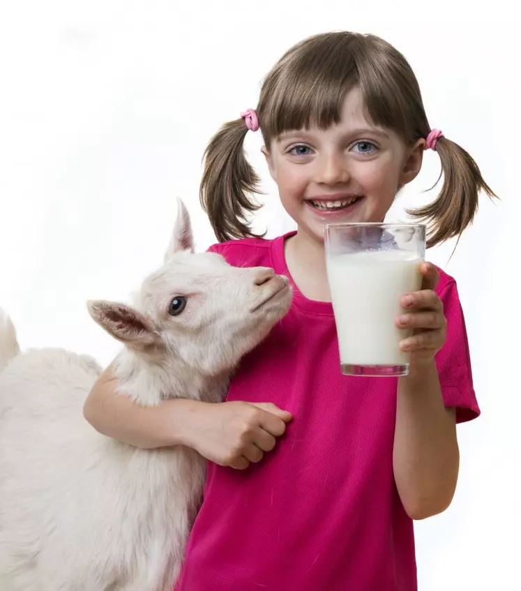Le lait et les produits laitiers peuvent constituer une source importante de calories, de protéines et de matières grasses.