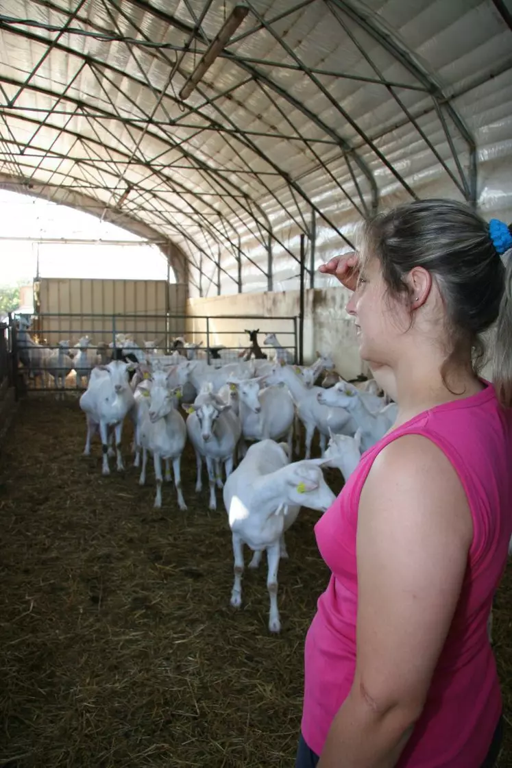 Passer du temps dans la chèvrerie à observer ses animaux permet de déceler les premiers signes d’un disfonctionnement alimentaire.