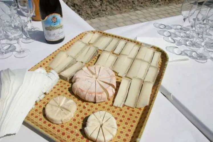 L'Aoc Chevrotin et la tomme de chèvre des Savoie seront à l'honneur de Fromagora 2008