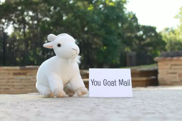 Avec yougoatmail envoyez une chèvre par la poste