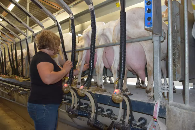 Le prix de base du lait de chèvre s’est établi à 664 euros les 1 000 litres au premier trimestre 2020 en moyenne nationale, soit une progression de près de 17 euros d’une année sur l’autre.