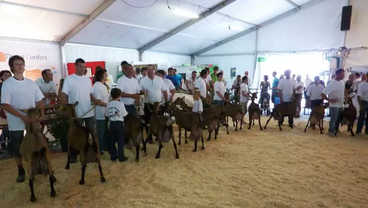 Le palmarès complet du concours interrégional caprin