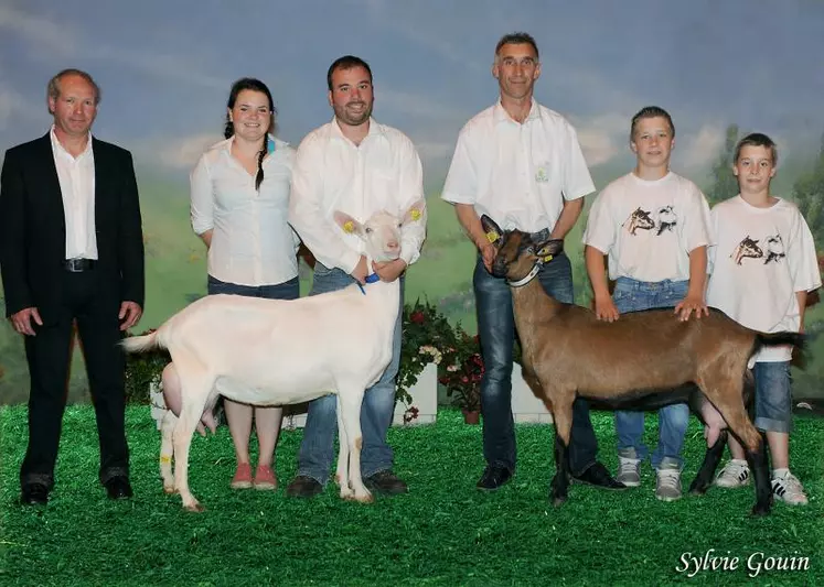 Les grandes championnes alpines et Saanen de Farmingtour.