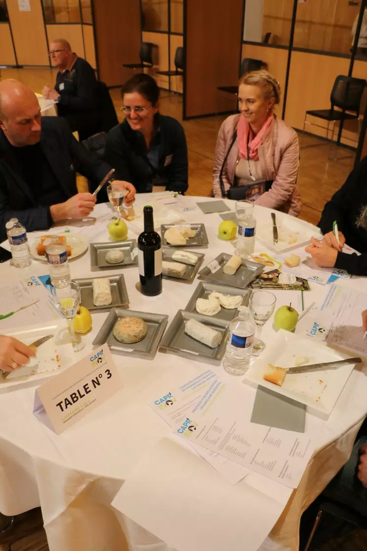 Une centaine de jurés ont départagé les vainqueurs du second concours international de fromages et produits laitiers de chèvre.