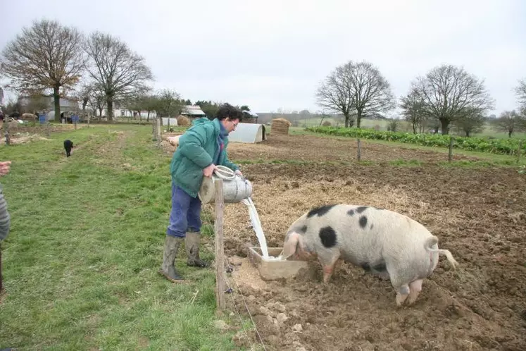 40 % des 66 fromagers du réseau d’élevage suivis par l’Institut de l’élevage distribuent le lactosérum aux porcs ou aux chèvres. Une pratique adoptée par 62 % des éleveurs Rhône-alpins selon une enquête du PEP caprin en 2002.