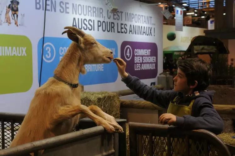 Au stand Aquitaine-Poitou-Charentes-Limousin, première région caprine d’Europe avec 1 000 exploitations laitières et 300 fermières, on trouvait côte à côte du cabécou du Périgord et du mothais-s