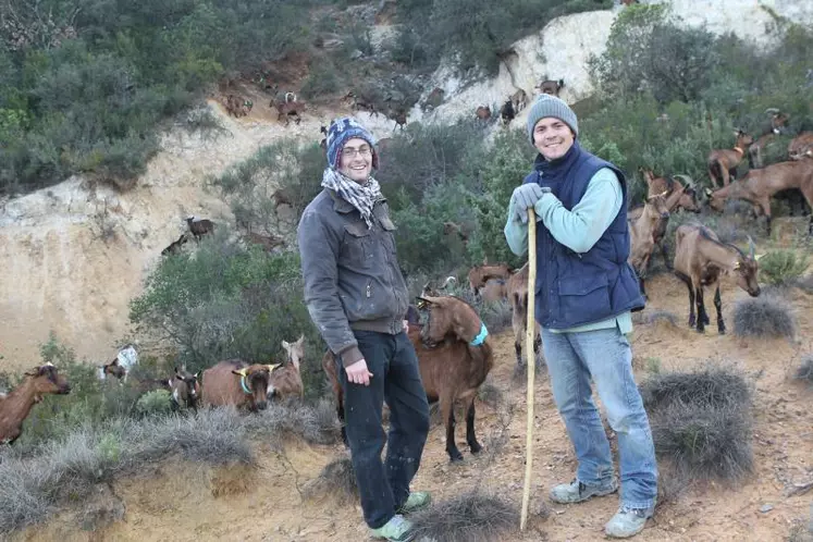 Bonnet péruvien pour François, baton de berger pour Simon, les deux copains de 27 ans ont quitté leur boulot d’ingénieur pour fabriquer des pélardons.