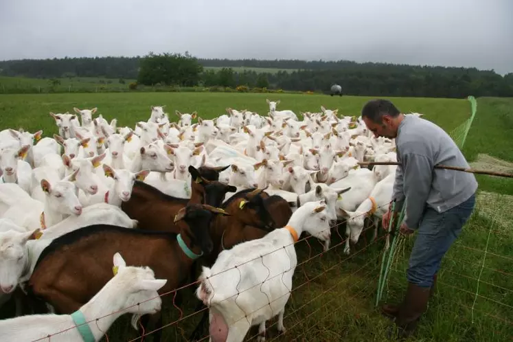 Une mise à l'herbe précoce permet de maintenir la pousse de l'herbe.