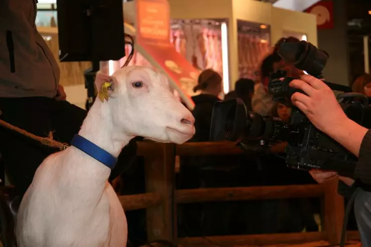 Les chèvres et l'agriculture française ont été sous les projecteurs pendant neuf jours.