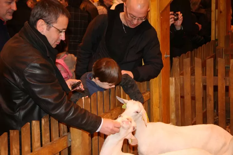 Caresses, sourires et émerveillements des petits et des grands.