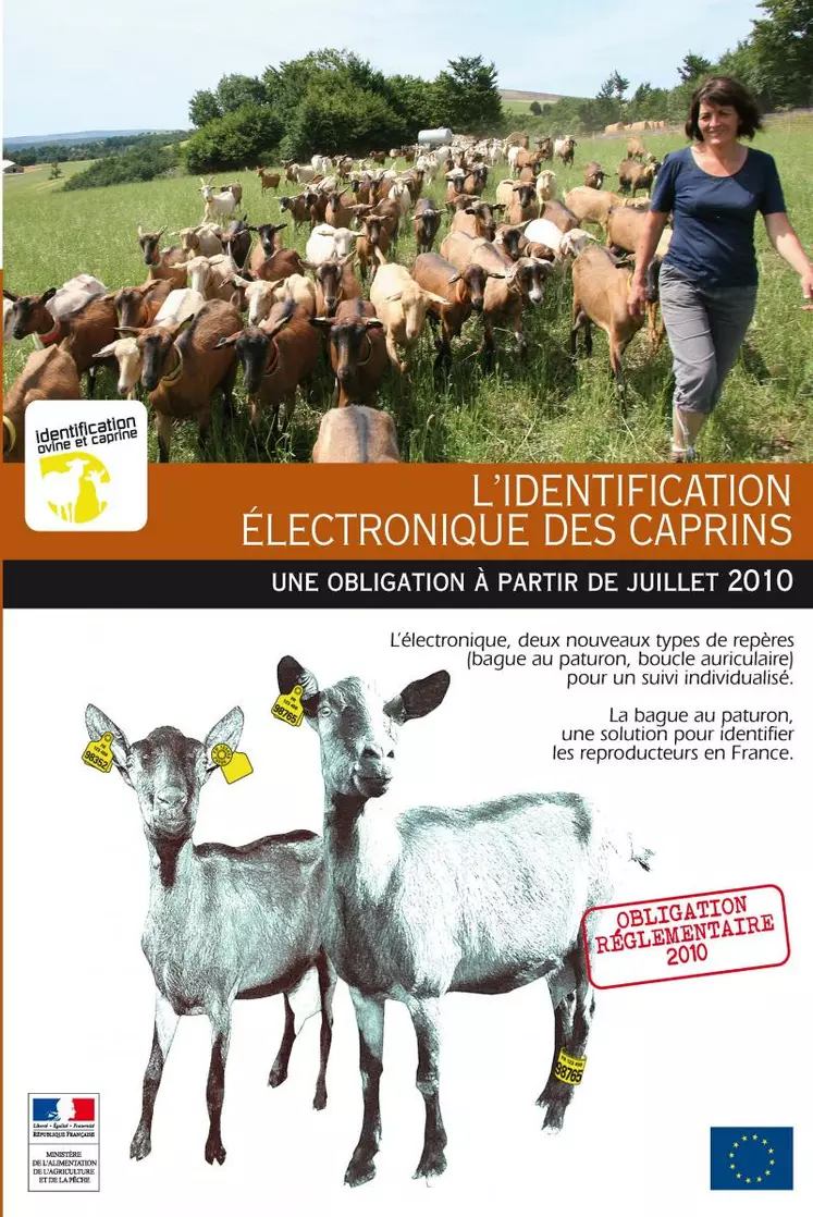 Ce guide sur l’identification des caprins a été envoyé à tous les éleveurs.