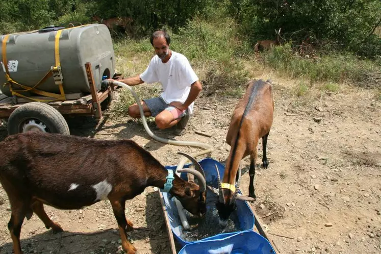 Non, il ne faut pas mille litres d’eau pour faire un litre de lait…