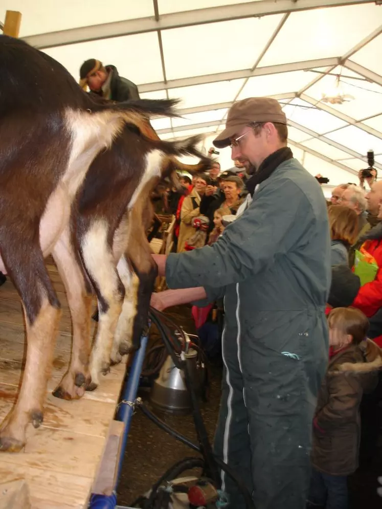 Palmarès du concours de fromages