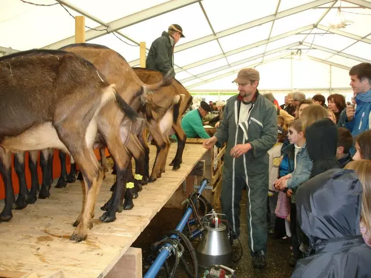 Palmarès du concours caprin