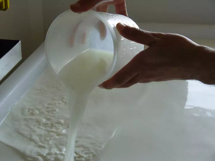 Le lait issu de chèvres nourries avec un haut niveau d'azote ne semble pas présenter plus de problèmes d'acidification.