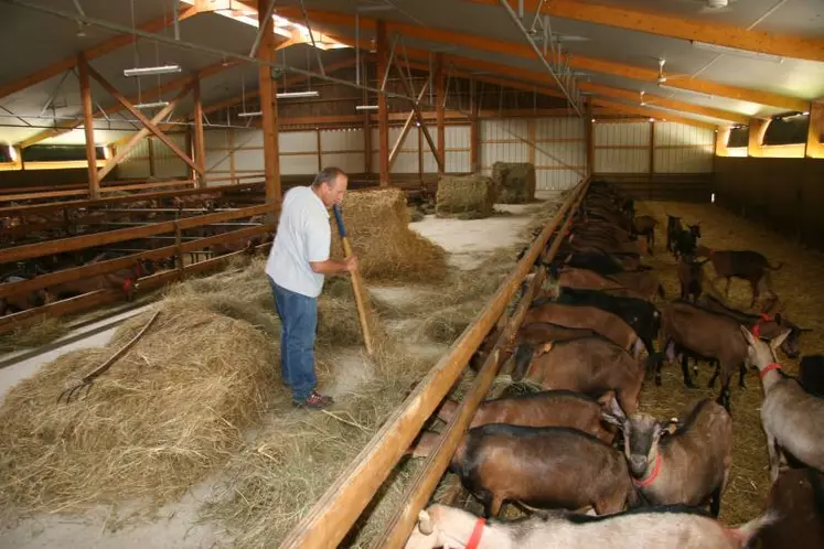 La chèvre est un ruminant herbivore qui doit valoriser en premier lieu les fourrages produits sur la ferme.