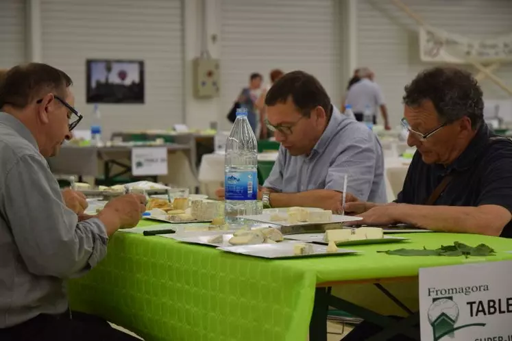 LA DIVERSITÉ DE LA PRODUCTION CAPRINE en France sera mise en avant lors du concours.