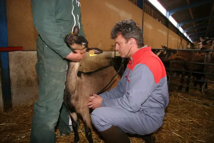 La formation « éleveur infirmier de son élevage » permet d’apprivoiser les gestes et méthodes qui permettent de poser un premier diagnostic.