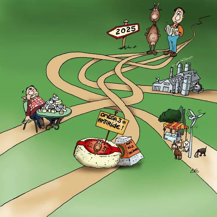La filière caprine sera-t-elle demain concentrée ou répartie sur tout le territoire, privilégiant les industries, les fermiers ou la grande distribution ?
À quoi pourra ressembler la filière caprine en 2025 ?
Pour tenter de répondre à cette question, l’Anicap, l’Association nationale interprofessionnelle caprine, a initié une démarche prospective avec l’aide d’un cabinet spécialisé.
