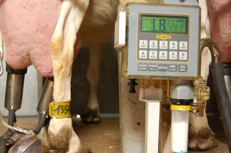 Les 105 088 saanen ayant terminé une lactation en 2015 ont fait 954 kilos de lait de moyenne à 35,5 de TB et 32 de TP. © D. Hardy