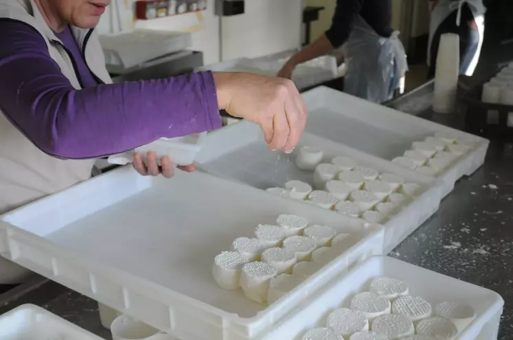 La réduction du taux de sel dans les fromages est possible mais a des conséquences microbiologiques à surveiller. © D. Hardy