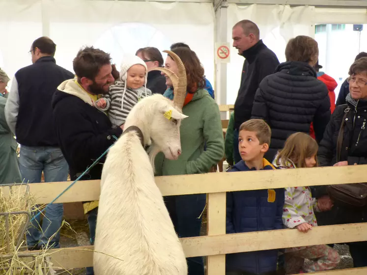 Fête conviviale et familiale, le Printemps des chèvres permet aux fromagers fermiers des deux Savoie de se retrouver tout en faisant la promotion de leurs produits auprès du grand public. © F. Leproust