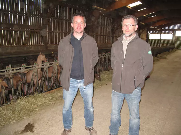 Édouard Guibert (à droite) et Samuel Bernard. Situé à Bridoré (37), le Gaec Bernard-Guibert fait partie du réseau de fermes pilotes de la société Lallemand qui a organisé une série de journées techniques ensilage début avril. © V. Bargain