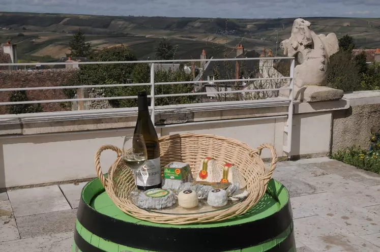 Le chavignol travaille avec le vin de sancerre pour sa promotion car les deux appellations ont une grosse partie de leur zone en commun. © A.  Villette