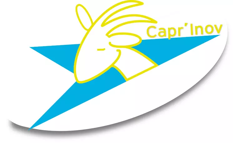 En option © Capr'inov